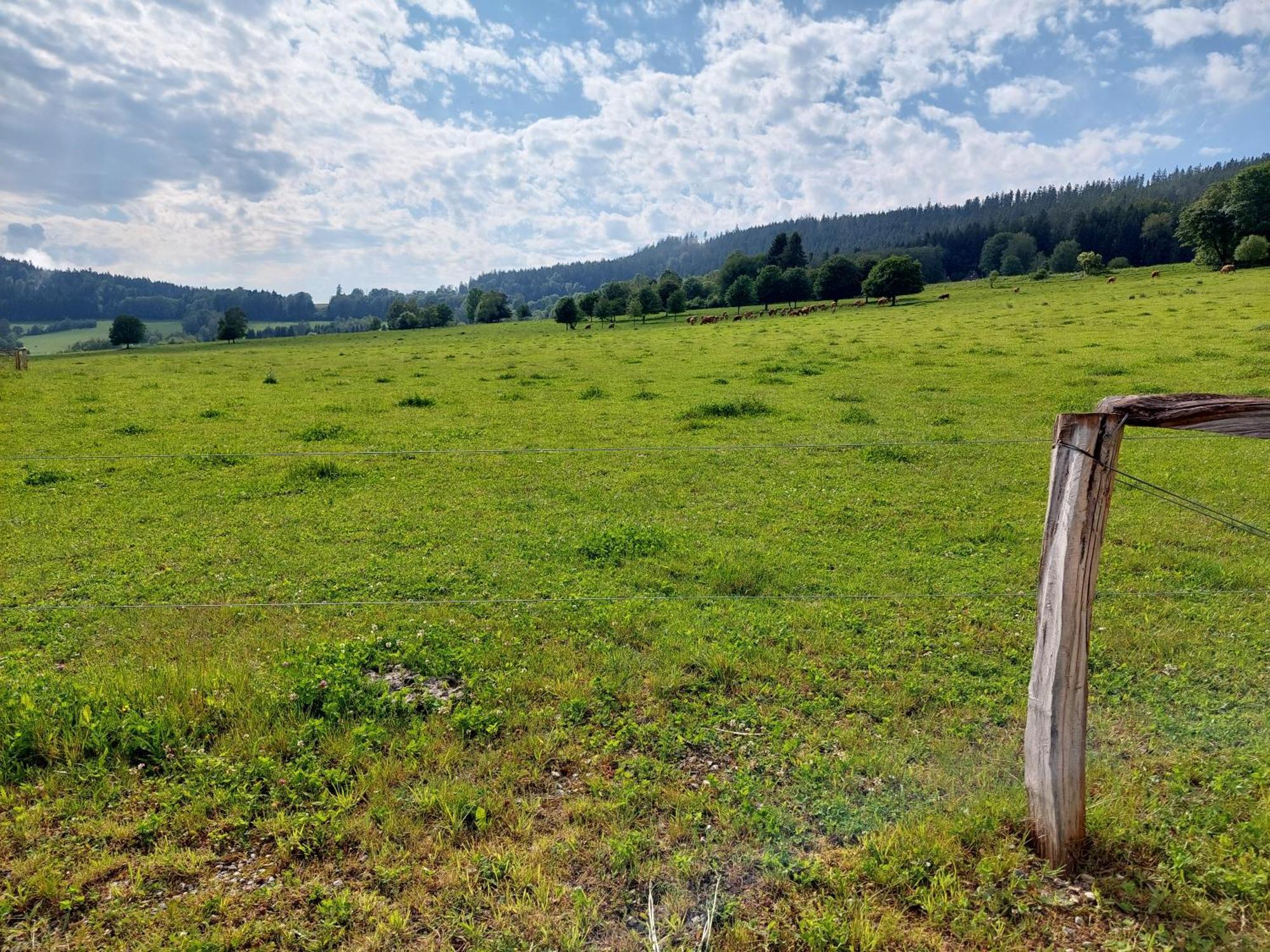Penzion Slupecna Lipno nad Vltavou Exterior foto